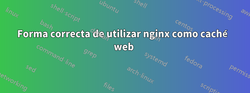 Forma correcta de utilizar nginx como caché web