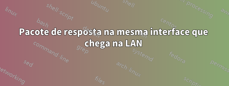 Pacote de resposta na mesma interface que chega na LAN