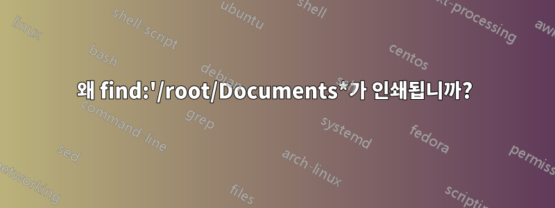 왜 find:'/root/Documents*가 인쇄됩니까?