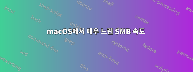 macOS에서 매우 느린 SMB 속도