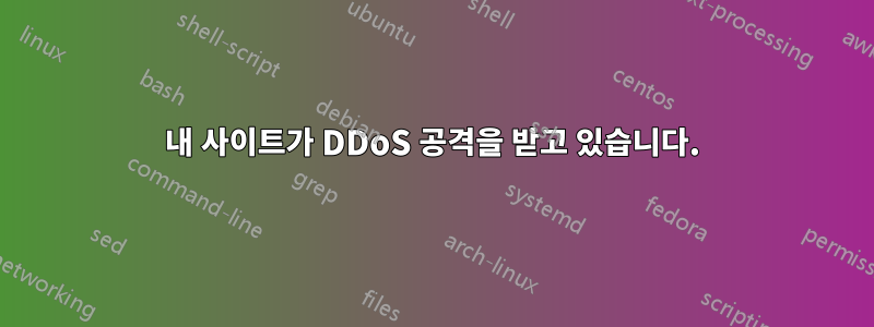 내 사이트가 DDoS 공격을 받고 있습니다.