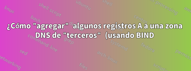 ¿Cómo "agregar" algunos registros A a una zona DNS de "terceros" (usando BIND)?