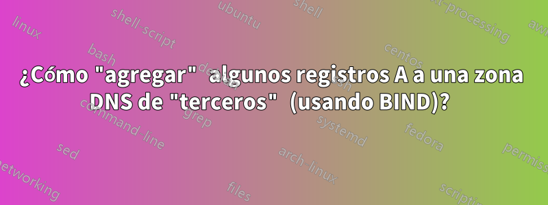 ¿Cómo "agregar" algunos registros A a una zona DNS de "terceros" (usando BIND)? 