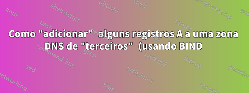 Como "adicionar" alguns registros A a uma zona DNS de "terceiros" (usando BIND)?