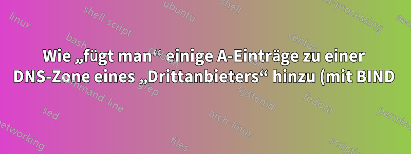 Wie „fügt man“ einige A-Einträge zu einer DNS-Zone eines „Drittanbieters“ hinzu (mit BIND)?