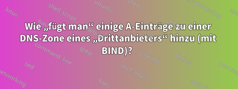 Wie „fügt man“ einige A-Einträge zu einer DNS-Zone eines „Drittanbieters“ hinzu (mit BIND)? 