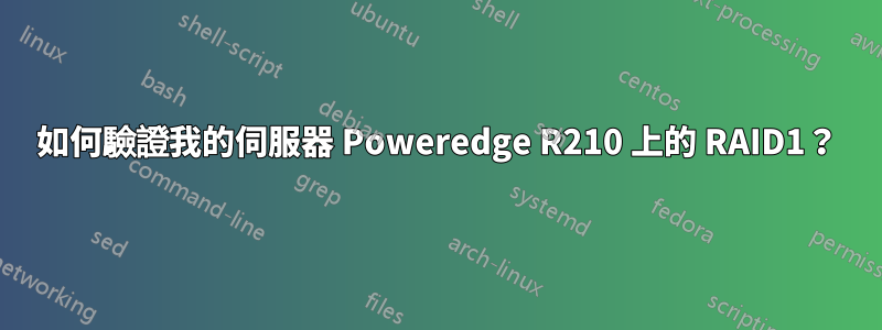 如何驗證我的伺服器 Poweredge R210 上的 RAID1？