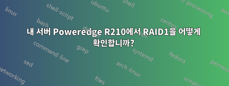 내 서버 Poweredge R210에서 RAID1을 어떻게 확인합니까?