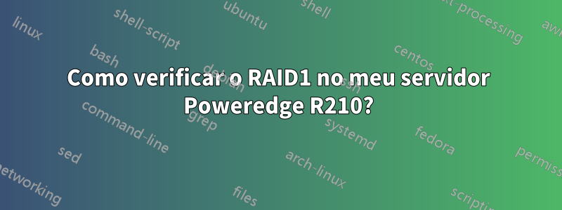 Como verificar o RAID1 no meu servidor Poweredge R210?