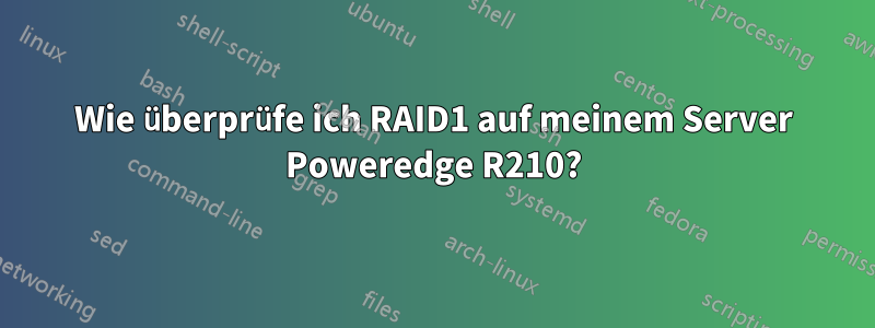 Wie überprüfe ich RAID1 auf meinem Server Poweredge R210?