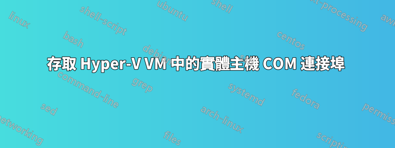 存取 Hyper-V VM 中的實體主機 COM 連接埠