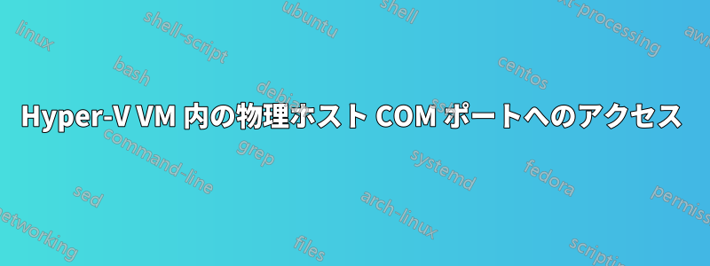 Hyper-V VM 内の物理ホスト COM ポートへのアクセス