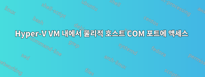 Hyper-V VM 내에서 물리적 호스트 COM 포트에 액세스