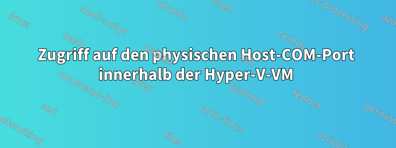 Zugriff auf den physischen Host-COM-Port innerhalb der Hyper-V-VM