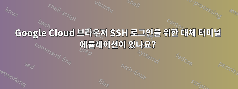 Google Cloud 브라우저 SSH 로그인을 위한 대체 터미널 에뮬레이션이 있나요?