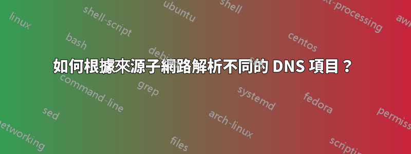 如何根據來源子網路解析不同的 DNS 項目？