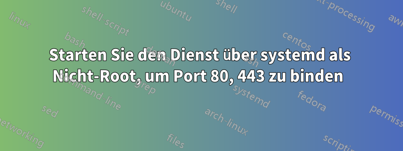 Starten Sie den Dienst über systemd als Nicht-Root, um Port 80, 443 zu binden 