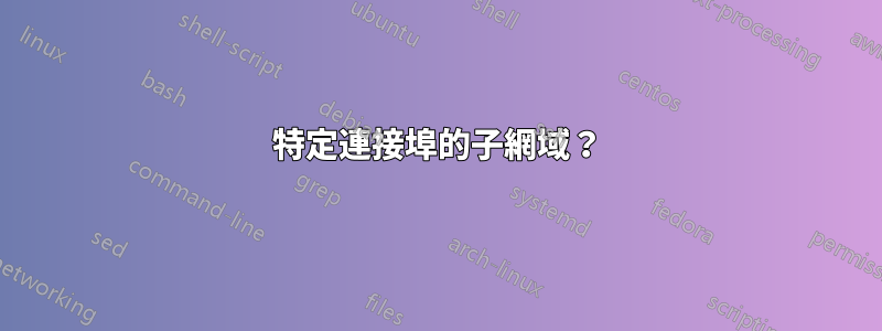 特定連接埠的子網域？