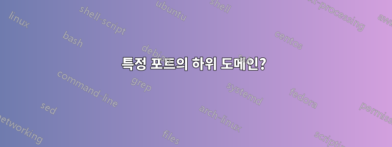 특정 포트의 하위 도메인?