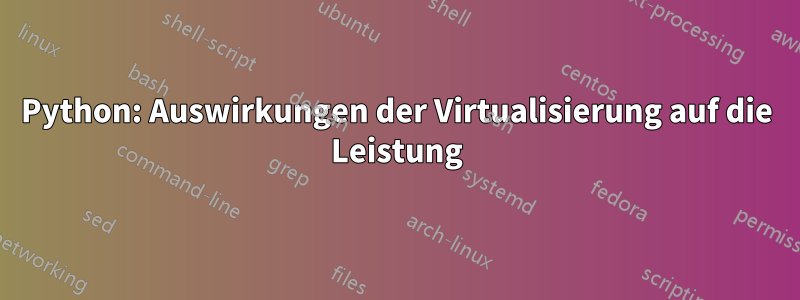 Python: Auswirkungen der Virtualisierung auf die Leistung