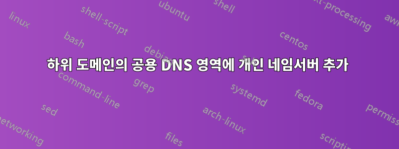 하위 도메인의 공용 DNS 영역에 개인 네임서버 추가