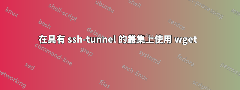 在具有 ssh-tunnel 的叢集上使用 wget 