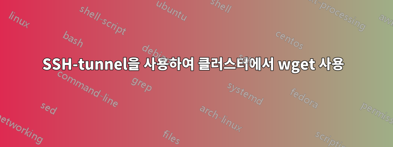 SSH-tunnel을 사용하여 클러스터에서 wget 사용 