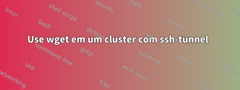 Use wget em um cluster com ssh-tunnel 