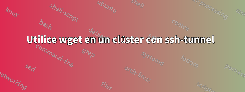 Utilice wget en un clúster con ssh-tunnel 