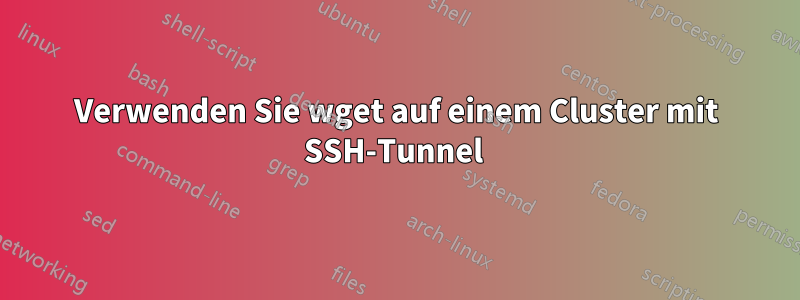 Verwenden Sie wget auf einem Cluster mit SSH-Tunnel 