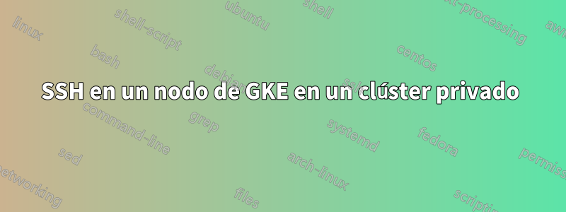 SSH en un nodo de GKE en un clúster privado