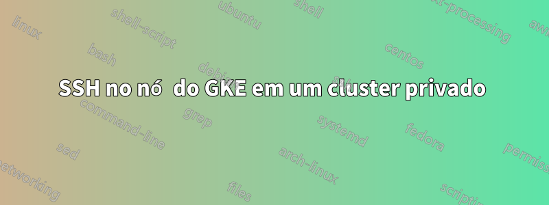 SSH no nó do GKE em um cluster privado