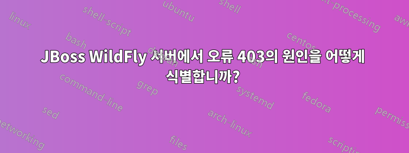 JBoss WildFly 서버에서 오류 403의 원인을 어떻게 식별합니까?