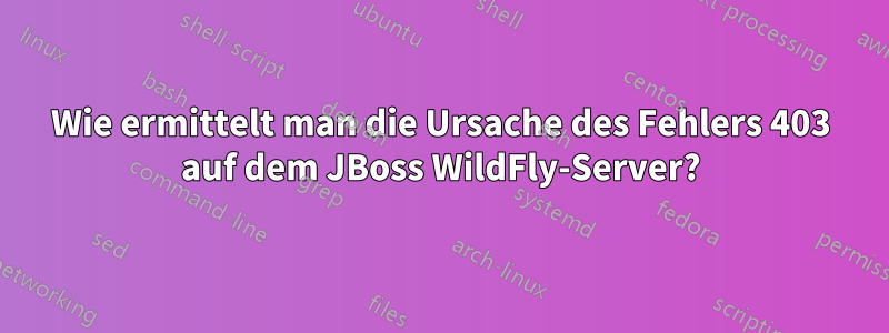 Wie ermittelt man die Ursache des Fehlers 403 auf dem JBoss WildFly-Server?