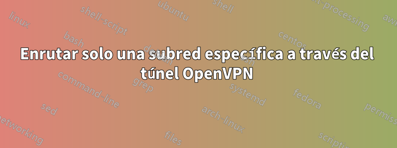 Enrutar solo una subred específica a través del túnel OpenVPN