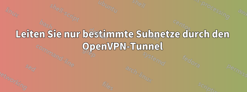 Leiten Sie nur bestimmte Subnetze durch den OpenVPN-Tunnel