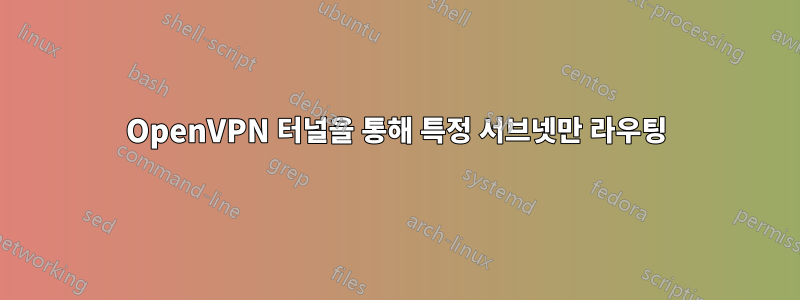 OpenVPN 터널을 통해 특정 서브넷만 라우팅