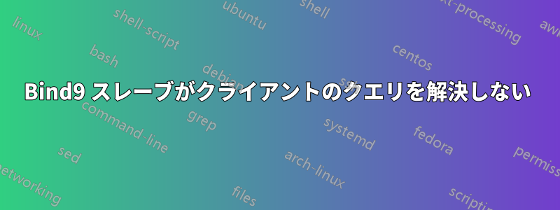 Bind9 スレーブがクライアントのクエリを解決しない