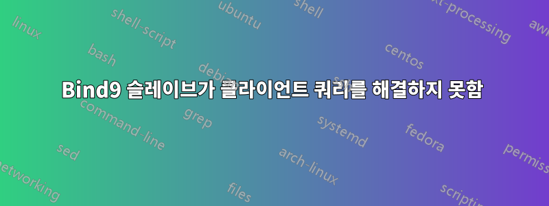 Bind9 슬레이브가 클라이언트 쿼리를 해결하지 못함