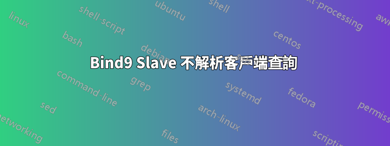 Bind9 Slave 不解析客戶端查詢