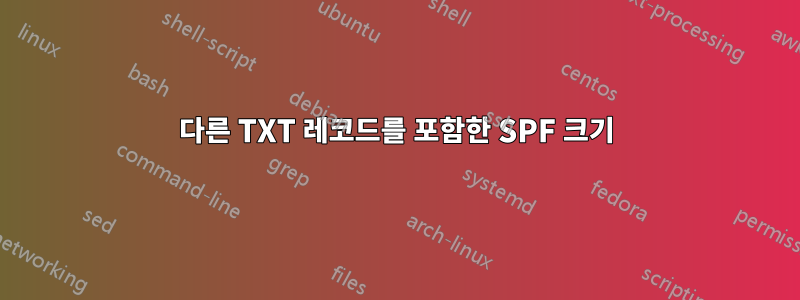 다른 TXT 레코드를 포함한 SPF 크기