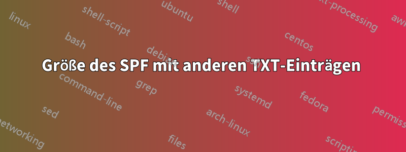 Größe des SPF mit anderen TXT-Einträgen