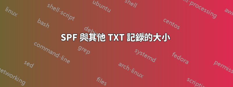 SPF 與其他 TXT 記錄的大小