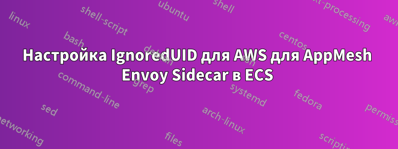 Настройка IgnoredUID для AWS для AppMesh Envoy Sidecar в ECS