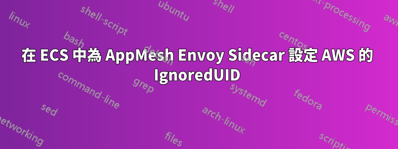 在 ECS 中為 AppMesh Envoy Sidecar 設定 AWS 的 IgnoredUID