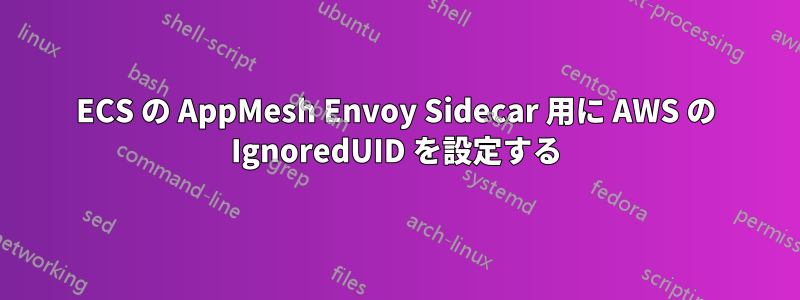 ECS の AppMesh Envoy Sidecar 用に AWS の IgnoredUID を設定する