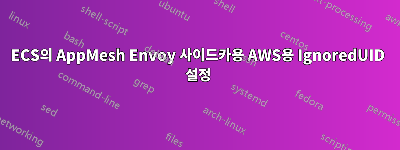 ECS의 AppMesh Envoy 사이드카용 AWS용 IgnoredUID 설정