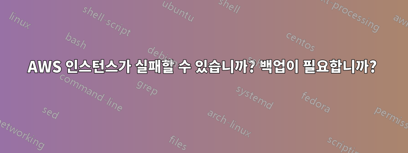 AWS 인스턴스가 실패할 수 있습니까? 백업이 필요합니까?