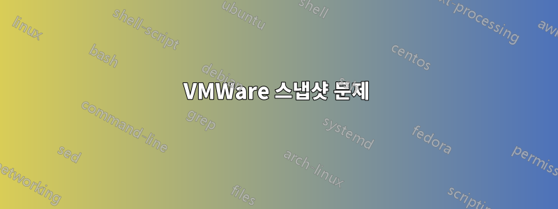 VMWare 스냅샷 문제