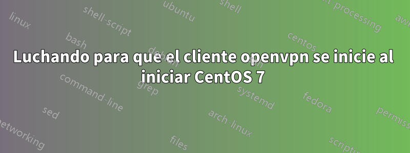 Luchando para que el cliente openvpn se inicie al iniciar CentOS 7